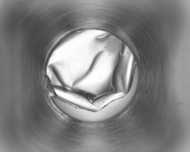 X0000065261340200603172220