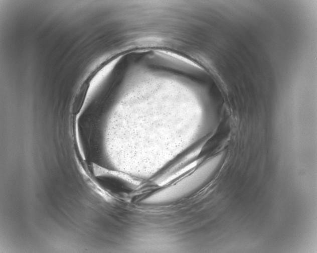 X0000065261342200603172220