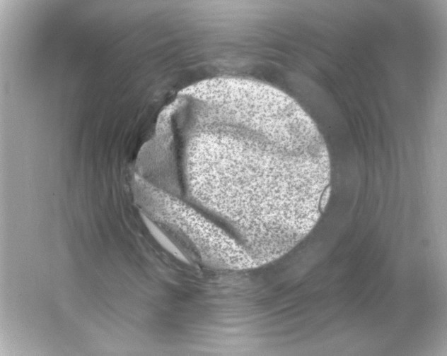 X0000065261346200603172220