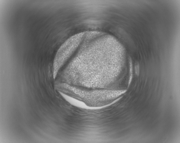 X0000065261347200603172220