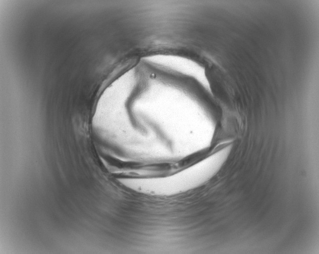 X0000065261348200603172219