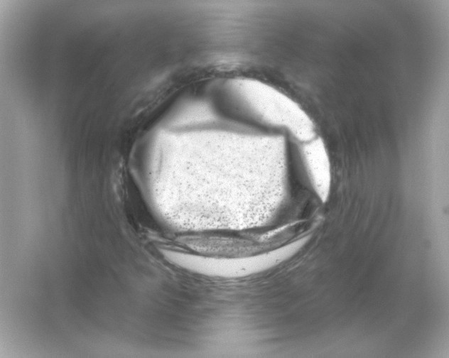 X0000065261349200603172219