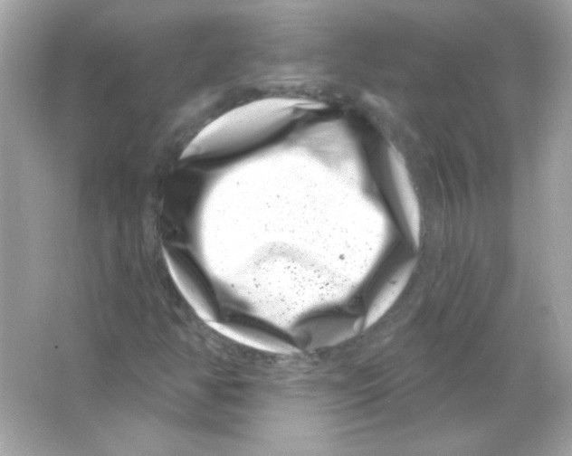 X0000065261350200603172219