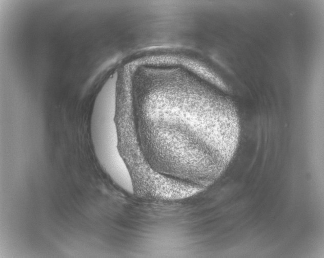 X0000065261351200603172219