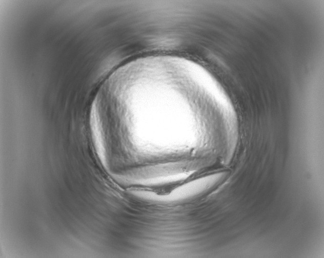 X0000065261354200603172219