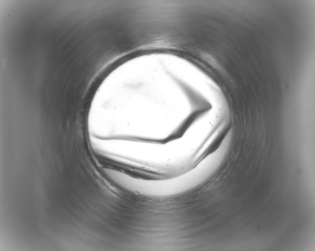 X0000065261356200603172219