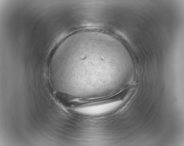 X0000065261357200603172219