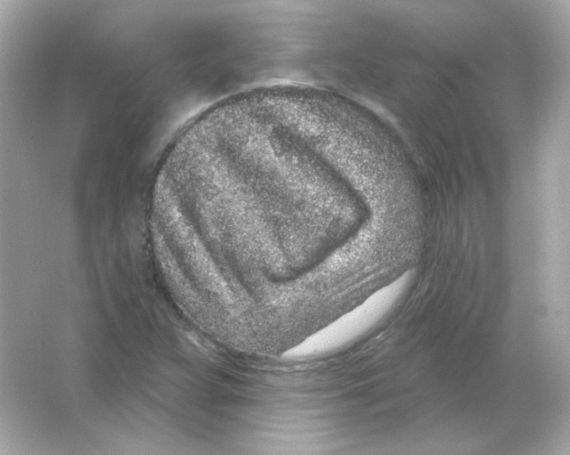 X0000065261359200603172219