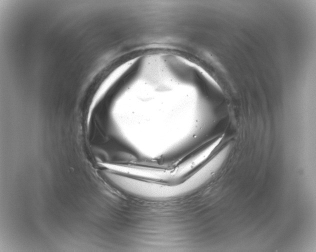 X0000065261360200603172219