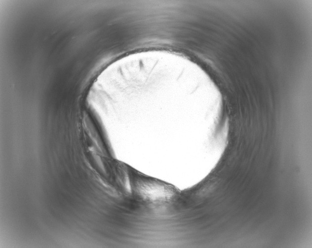 X0000065261363200603172219