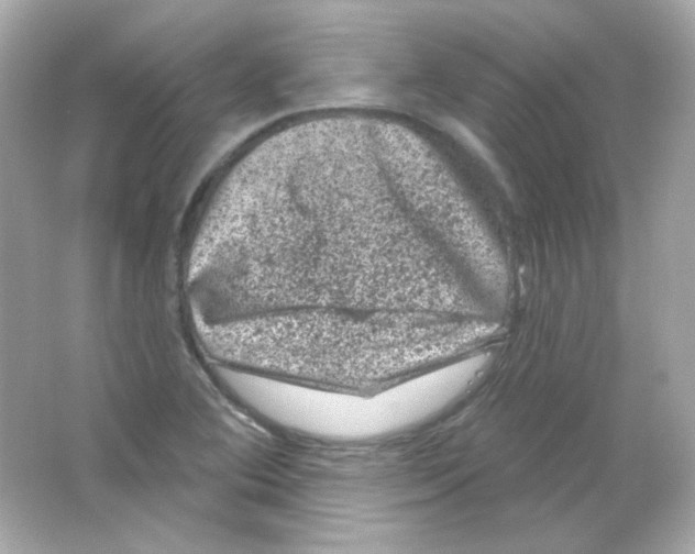 X0000065261364200603172219