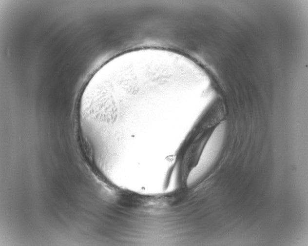 X0000065261367200603172219