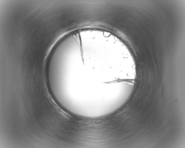 X0000065261368200603172219