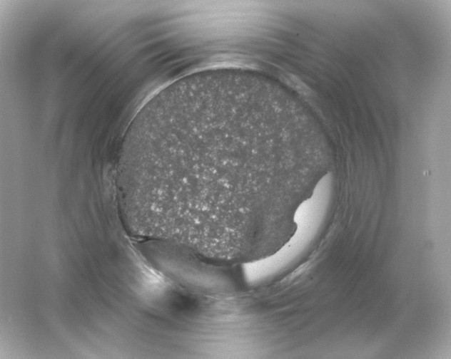 X0000065261369200603172219