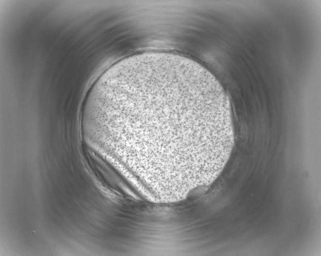 X0000065261370200603172219