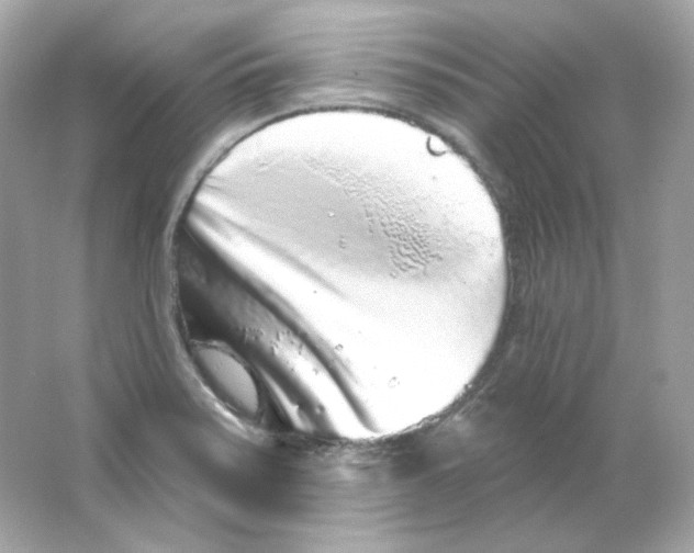 X0000065261371200603172219