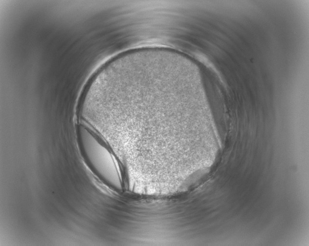 X0000065261372200603172219