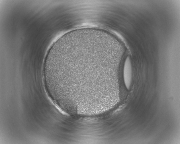 X0000065261373200603172219