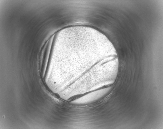 X0000065261374200603172219