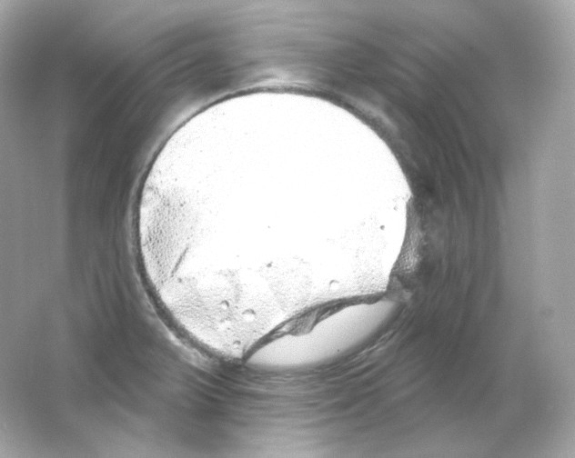 X0000065261375200603172219