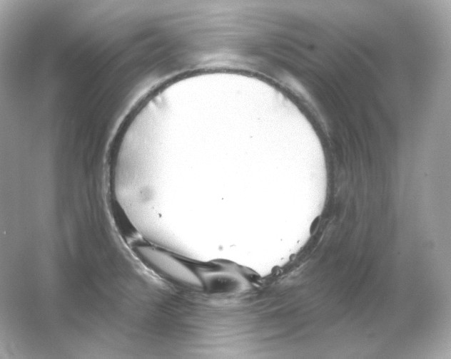 X0000065261376200603172219