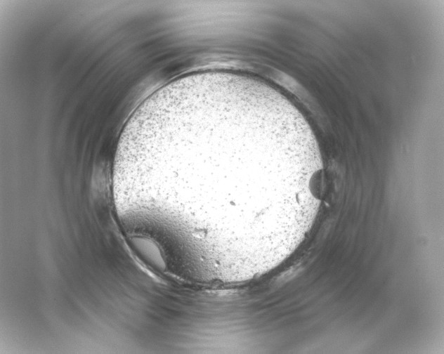 X0000065261377200603172219