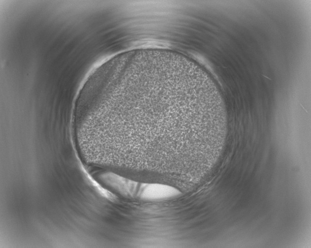 X0000065261379200603172219