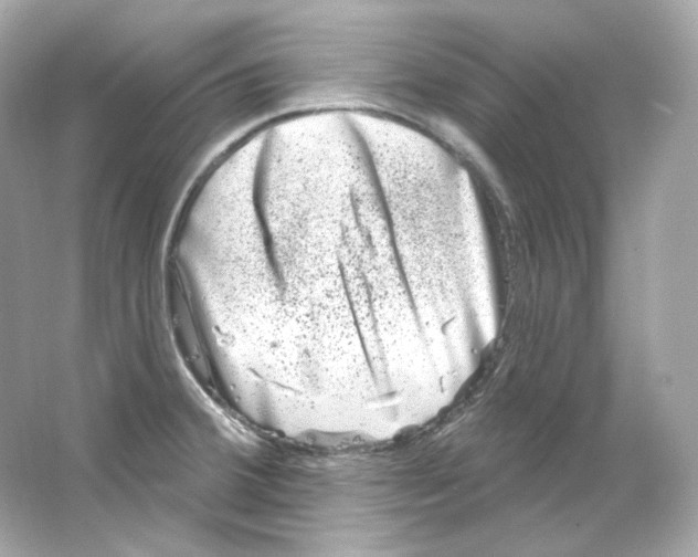 X0000065261380200603172219