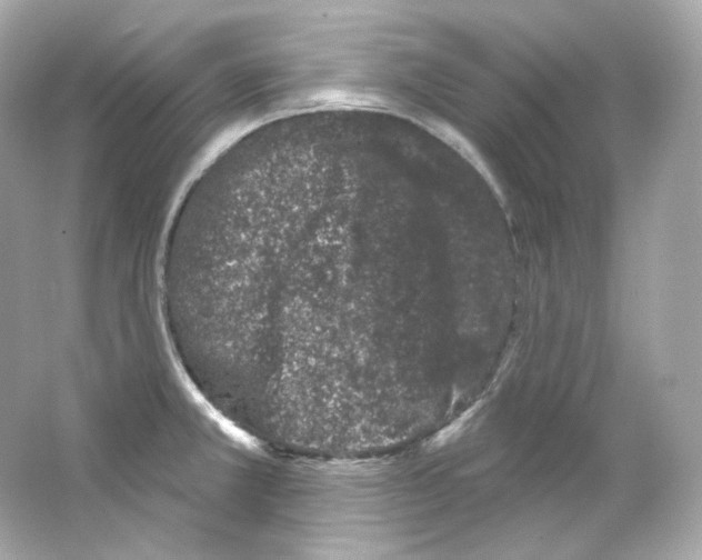 X0000065261381200603172219