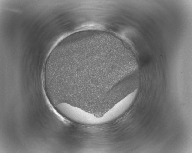 X0000065261383200603172219