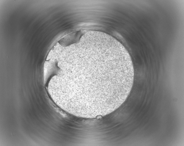 X0000065261386200603172219