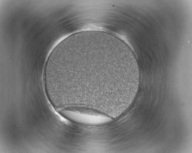 X0000065261387200603172219