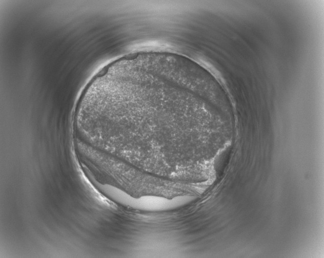 X0000065261392200603172219