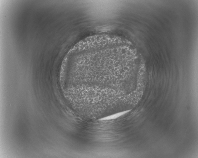 X0000065261393200603172218