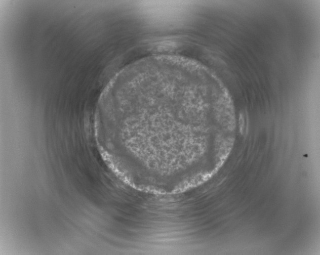 X0000065261395200603172218