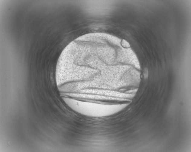 X0000065261396200603172218