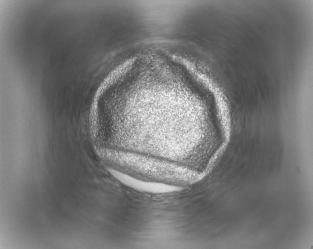 X0000065261397200603172218