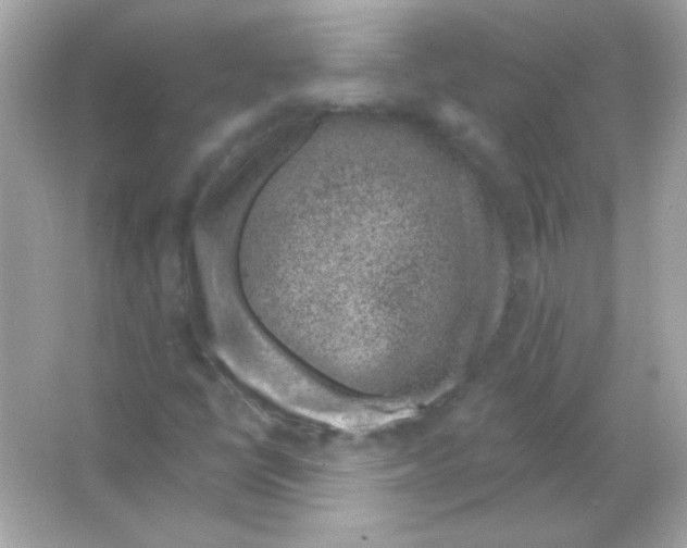 X0000065261398200603172218