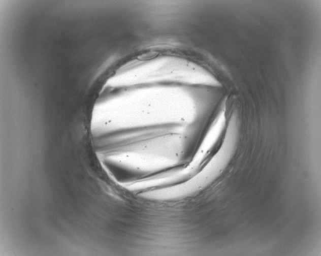 X0000065261400200603172218