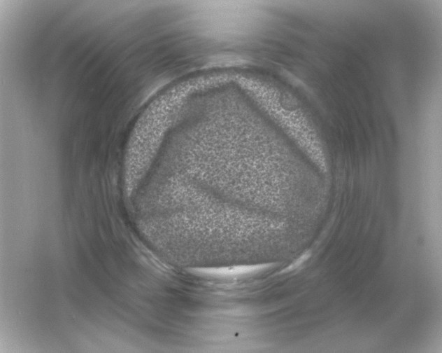 X0000065261401200603172218