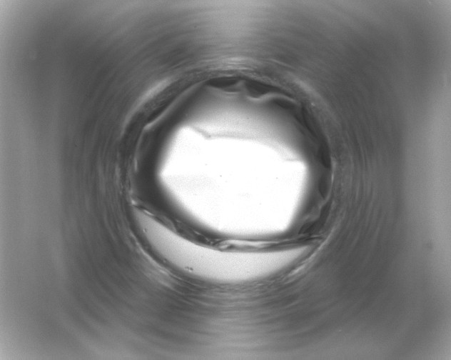 X0000065261402200603172218