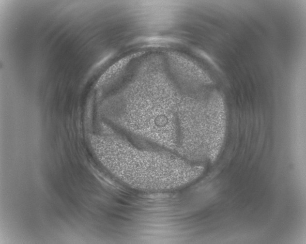 X0000065261403200603172218