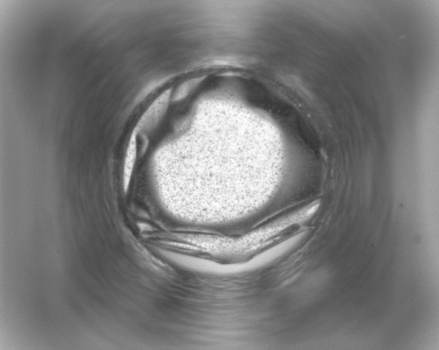 X0000065261404200603172218