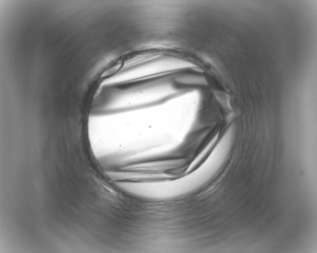 X0000065261406200603172218