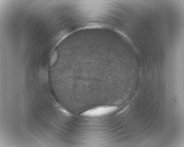 X0000065261409200603172218