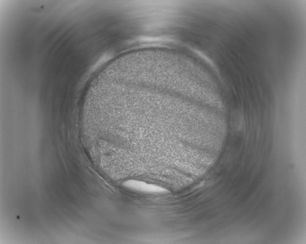 X0000065261411200603172218