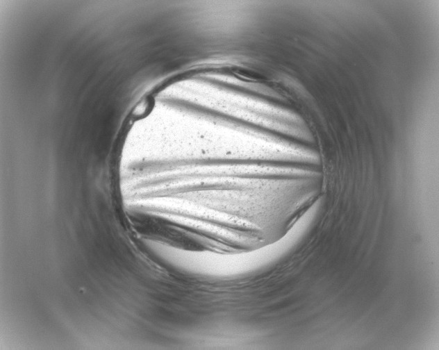 X0000065261412200603172218