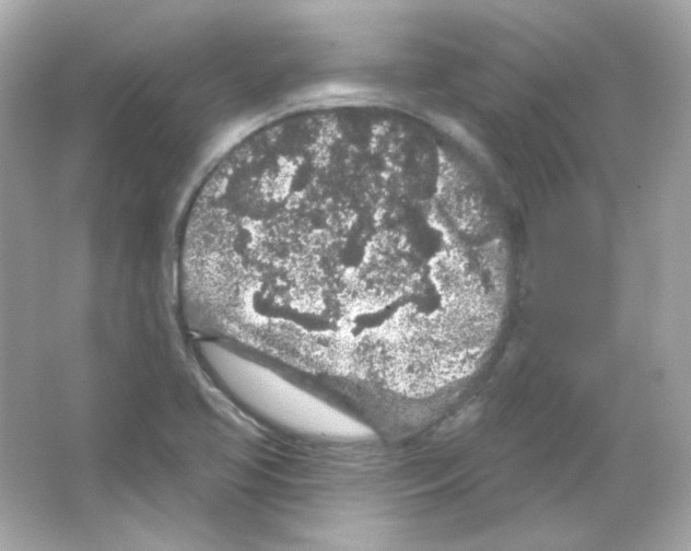 X0000065261413200603172218