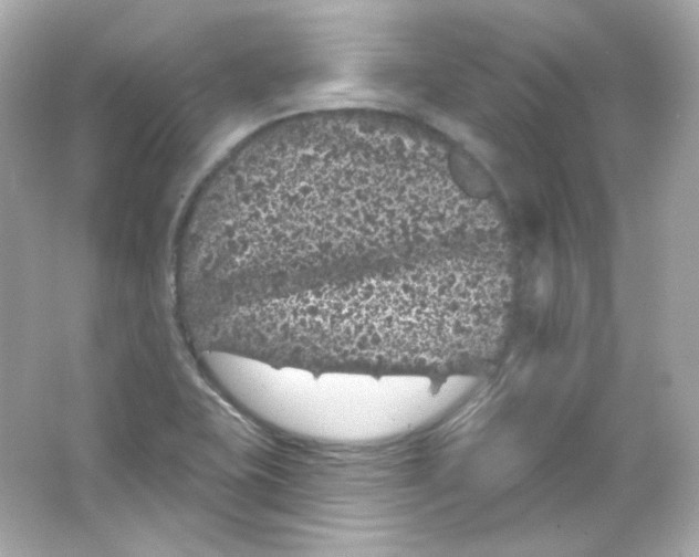 X0000065261415200603172218