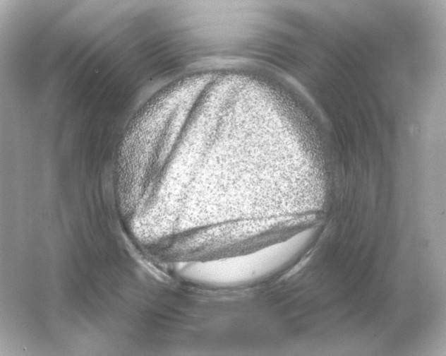 X0000065261417200603172218